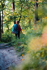 Young woman hiker with backpack walking in forest during summer vacation trip