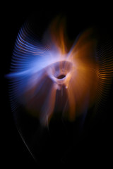 Multicolored twisted ordered parallel lines on a black background. Light in motion. Color abstraction.