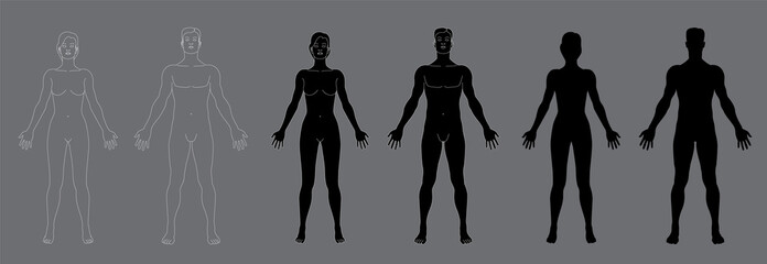 Woman`s and men`s body silhouettes. Vector illustration isolated on gray background.