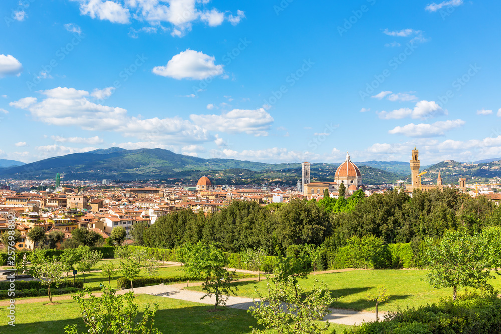 Wall mural View of Florence with mountains from the Boboli Gardens