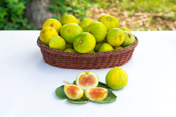 grenn figs open on white background.