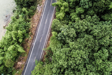 Tropical rain forest with rural road aerial view