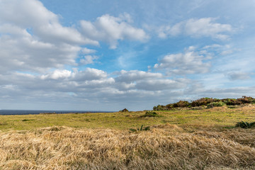 Scenery view surrounding Cape Manzamo