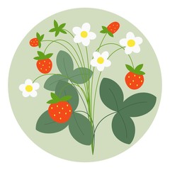 Garden strawberry plant. Branch with flovers, berries and leaves. Vector illustration. 