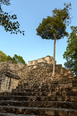 Fototapeta premium Pyramids and ruins of Calakmul in Campeche, Mexico