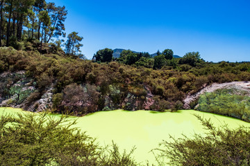 Fototapeta na wymiar Beautiful scenery of thermal land, Rotorua, North Island, New Zealand.