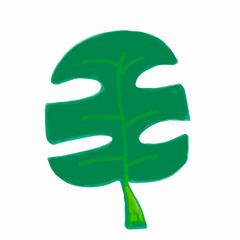 Leaf of monstera or rib of Adam, vector