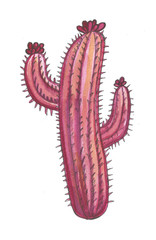 Hand drawn frame pattern watercolor pink yellow flower cactus