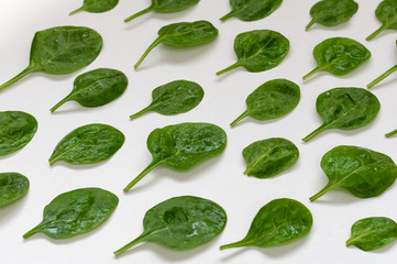 Spinach leaves. Fresh green spinach on a white background. Top view.