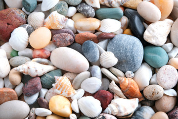 Sea stones and shells close-up. Background and texture. Tourism and travel concept.