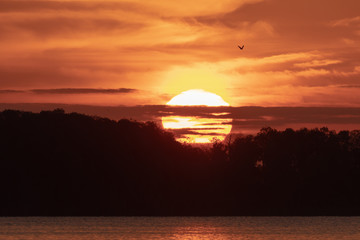Fototapeta na wymiar Morning sun as it rises over a lake in Florida