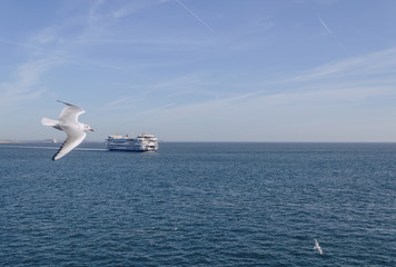 Fototapeta na wymiar sailing from Texel island ferry