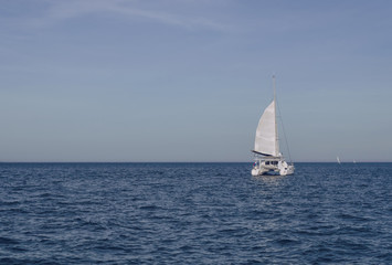 sailing in the sea catamaran