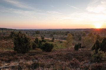 Landscape of Lueneburg Heath in sunlight, Germany