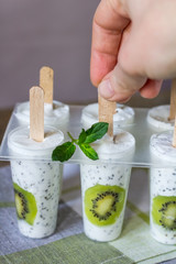 Kiwi yogurt ice cream popsicles. Healthy dessert. Homemade product. Summer background