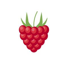 Raspberry with leaf vector icon. Raspberry icon clipart. Raspberry cartoon. eps10