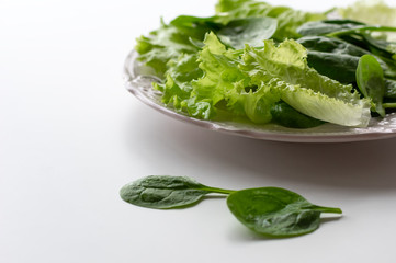 A mixture of spinach leaves and salana leaves on a plate. Selective focus, white background.