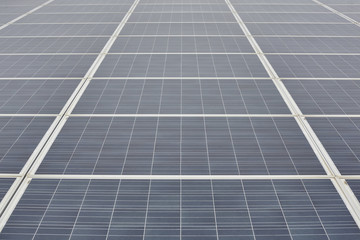 Closeup view of solar panel.Renewable energy.