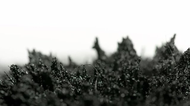 Ferro Fluid Macro Footage Cristals and Alien scapes moving matter Abstract footage 