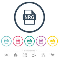 NRG file format flat color icons in round outlines