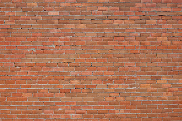 Brick wall as backgound.