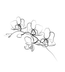One line drawing orchid sketch.Modern single line art, aesthetic contour. Perfect for home decor such as posters, wall art, tote bag, t-shirt print, sticker © Ольга Логвиненко