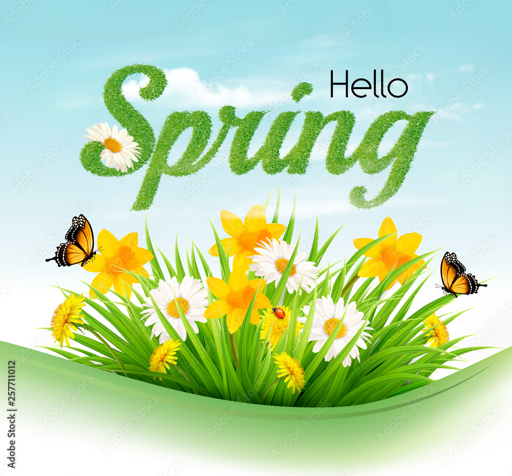 Poster nature spring background with a green grass and flowers and butterflies. vector.