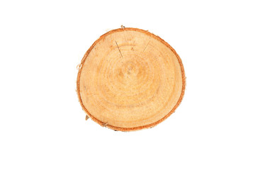 Wooden stump isolated on the white background. Round cut down tree with annual rings as a wood...