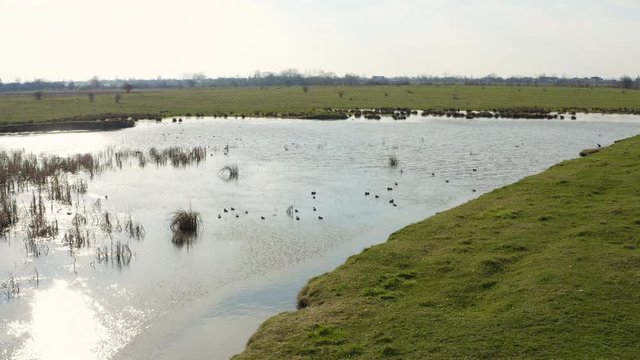 flying over a small lake during the spring