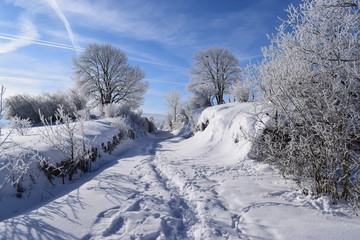 Obraz premium Neige 10