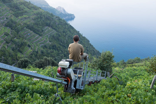 A farmer rides the monorail down to his vineyard to harvest the grapes on the Amalfi Coast, Italy