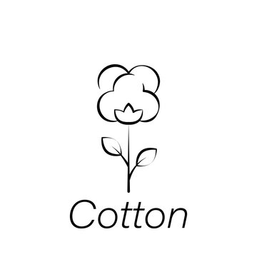 cotton hand draw icon. Element of farming illustration icons. Signs and symbols can be used for web, logo, mobile app, UI, UX