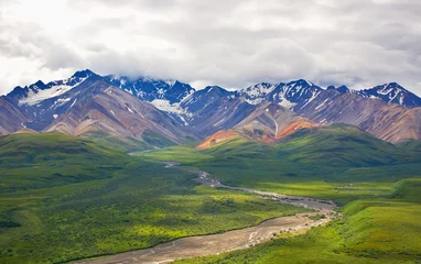 Papier Peint photo Denali With its huge mountains and surrounded by a wonderful biodiversity lies the Denali National Park and Preserve. River, trees and cloud sky. Landscape, fine art. Parks Hwy, Alaska, EUA: July 28, 2018