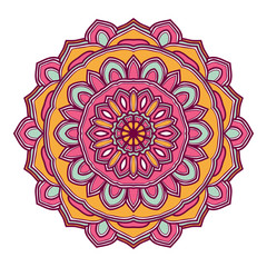 mandala flower illustration vector