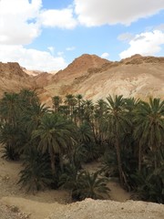 Fototapeta na wymiar Mountain oasis of Chebika with palm trees in sandy Sahara desert, blue sky, Tunisia, Africa.