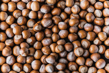 Hazelnuts on rustic wooden background. Food background. Print for kitchen