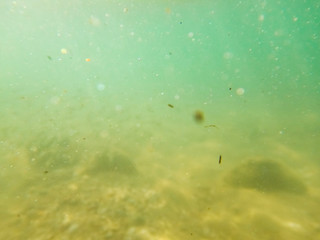 Blurred underwater shot of muddy water