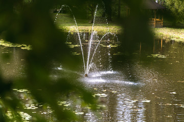 Colorful Photo of the Fountain in a Park, Between Woods with Blurred Tree Leaves in Foreground