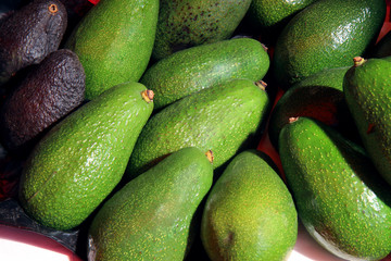 avocado on a background