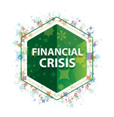 Financial Crisis floral plants pattern green hexagon button