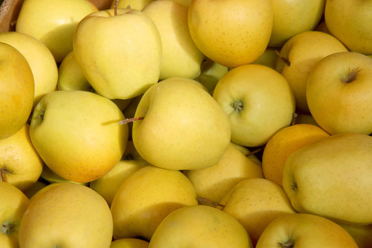 yellow apples in the market