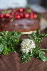 Spring flower with a chocolate chery cake in the background