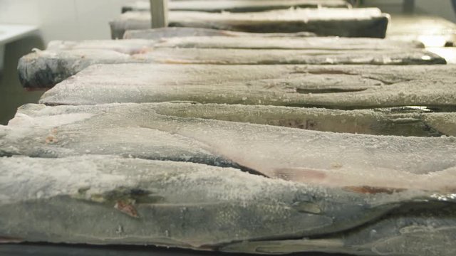 defrosting salmon 1