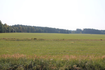 The fields and forests of the Czech Republic in August day