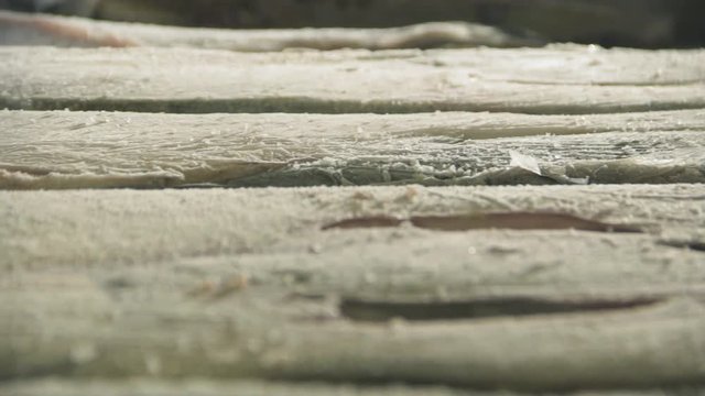 defrosting salmon 2