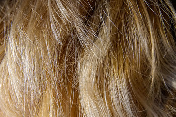 Haare, Haar, Blond, Braun, Rot, Wellig, Hintergrund, Textur, Hell