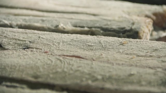 defrosting salmon 3