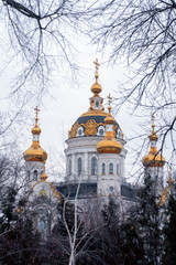 Church in the forest