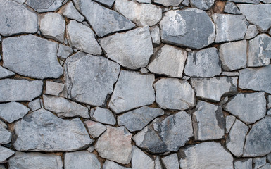 Wild Stone Wall