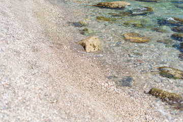 Summer, spring Background. Flowers. Nature Background. Yellow Flowers on green